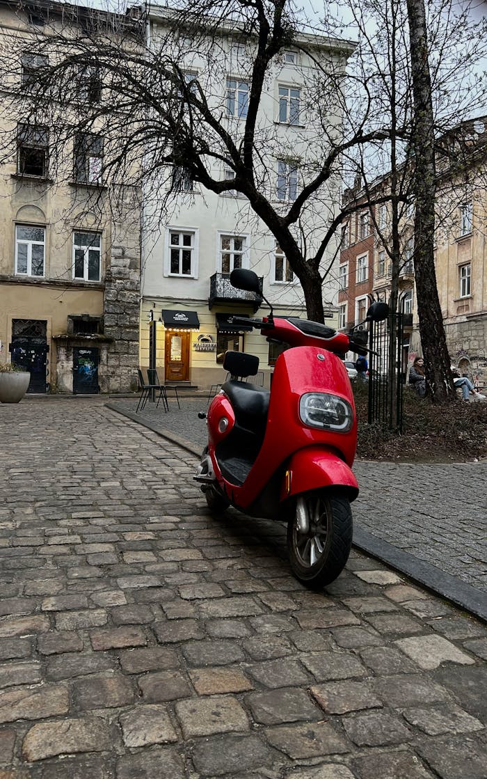 Pexels Photo 31477305